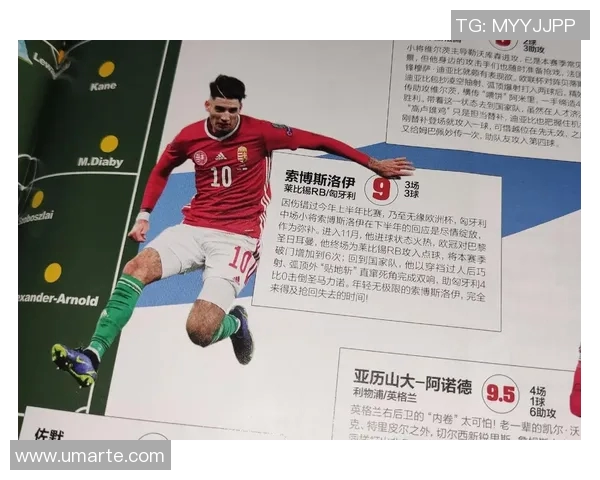 探索索博斯洛伊的历史与文化遗产之旅，揭开神秘面纱的多元魅力