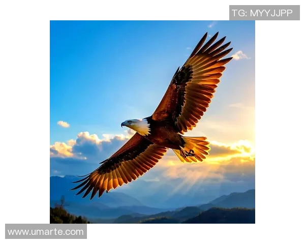 罗凯文的奋斗历程与人生哲学探索之旅